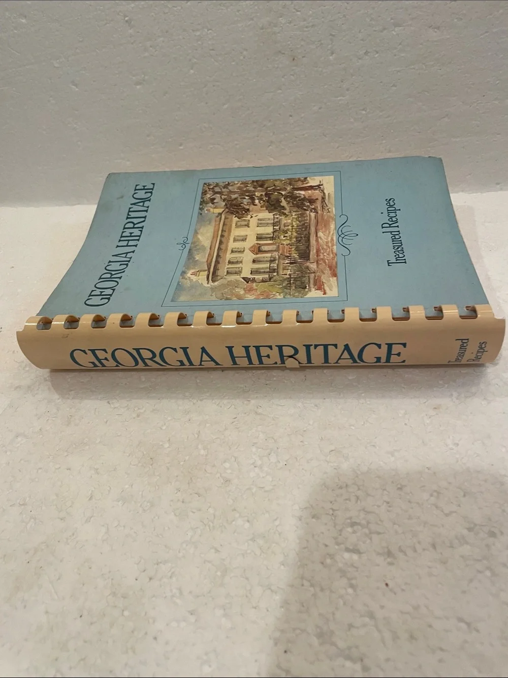 Vintage georgia heritage